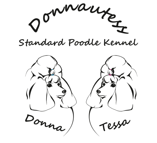 Standard Poodle Kennel